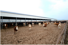 農牧場資產確權解決方案